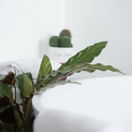 Le Terrazze Del Duca San Pietro 4*