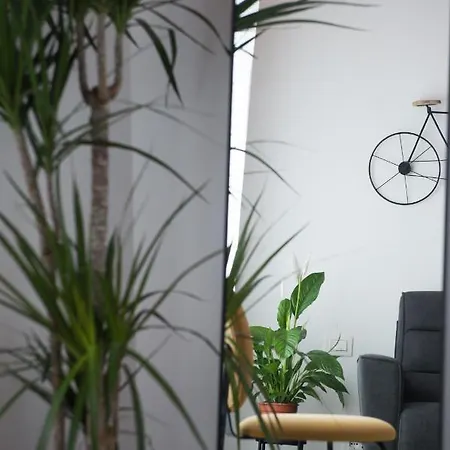 Le Terrazze Del Duca San Pietro ローマ